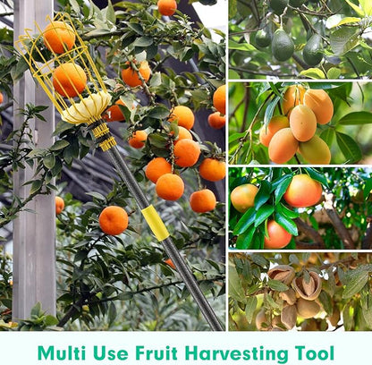 10FT Fruit Picker, Adjustable Mango Picker Tool with Adjustable Pole and Basket, High Fruit Catcher Equipment Apple Picker for Lemon Apples Mango Pear Orange Avocados Fruit Picking Grabber Tool
