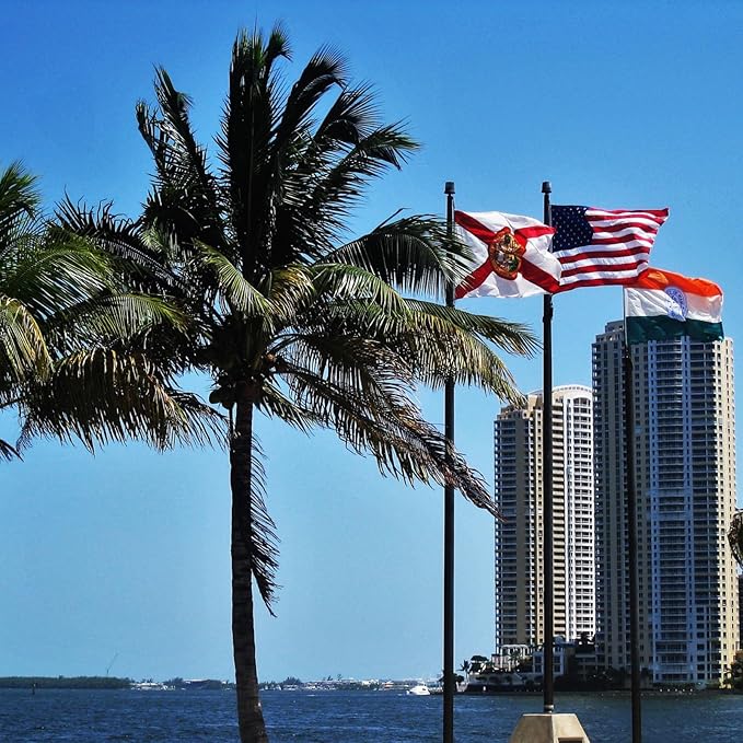 ROTERDON Florida Flag 3x5 Outdoor, 210D Heavy Duty FL State Flags Outside, Embroidered Stars and 2 Stitch Hemmings, Double Sided Banner with 2 Brass Grommets