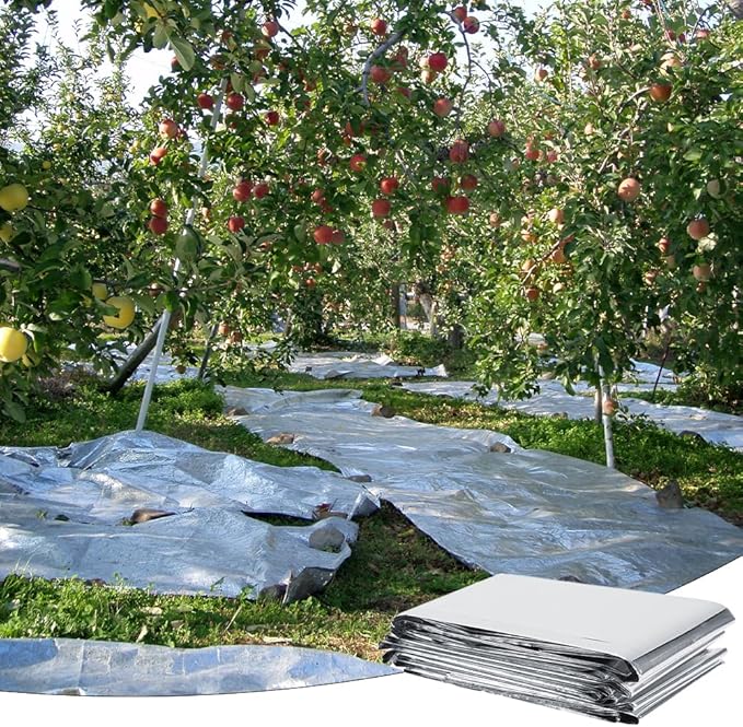 High Silver Reflective Mylar Film, Plant Reflective Film Mylar Sheet Greenhouse Covering Foil Sheets Increase Plant Growth for Outdoor Indoor Grow Room Farming Camping Reduce Uneven Heat