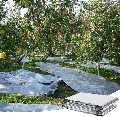 High Silver Reflective Mylar Film, Plant Reflective Film Mylar Sheet Greenhouse Covering Foil Sheets Increase Plant Growth for Outdoor Indoor Grow Room Farming Camping Reduce Uneven Heat