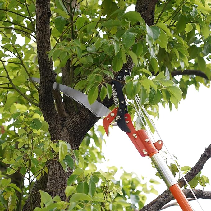 27FT Manual Pole Saw, Tree Branch Trimmer with 8-Section Fiberglass Handle, Sharp Steel Blade and Scissors, Lightweight Extendable Design for High Branch Trimming,Orange