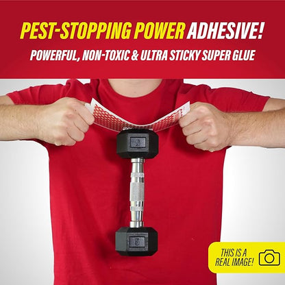 Catchmaster Multi-Catch Mouse Trap, Humane Mouse Trap Indoor for Home, Includes 1 Replaceable Glue Board, Live Catch Pest Control for Garage & Shed (White)