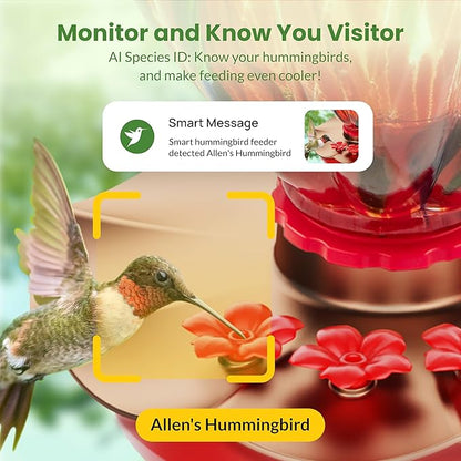 Smart Hummingbird Feeder with Camera, 2K HD Solar Panel Glass Bird Feeder with Night Vision&Water Sensor for Garden Decor, 148°View, AI Bird ID, Alexa & Google Compatible, IP66 Weatherproof