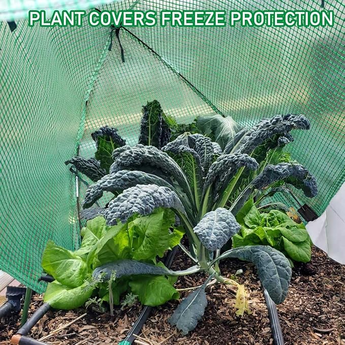 2 Pack Plant Freeze Protection Covers Winter Shrub Covers Plant Frost Protection Tent, Warm Plant Tents Protecting Fruit Potted Plants Tree from Freezing Animals Eating ((22x22x23in, PVC Grid))