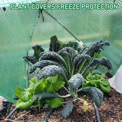2 Pack Plant Freeze Protection Covers Winter Shrub Covers Plant Frost Protection Tent, Warm Plant Tents Protecting Fruit Potted Plants Tree from Freezing Animals Eating ((22x22x23in, PVC Grid))