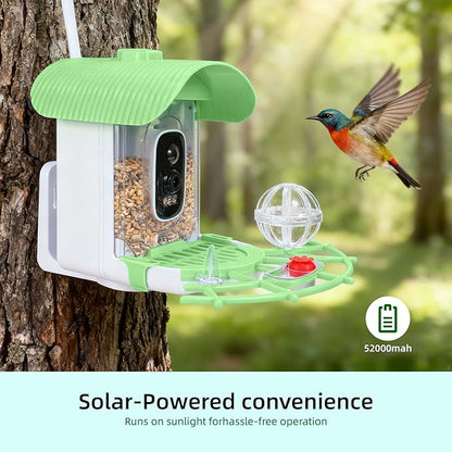 Bird Feeder with Camera, Smart Bird Cam with AI Identify BirdSpecies, Auto Record BirdVideo, Instant Notifications, 2K Video Live Stream Camera with Solar Panel for Birds Lover