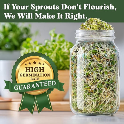 Seedboy Organic Non-GMO Sprouting Seeds, Hormone Balance Blend - USA Grown Microgreens Mix with Golden Flax, Red Clover, Fenugreek - 8 oz Bag Makes 8 Quarts / 24 Servings (Hormone Balance Blend)