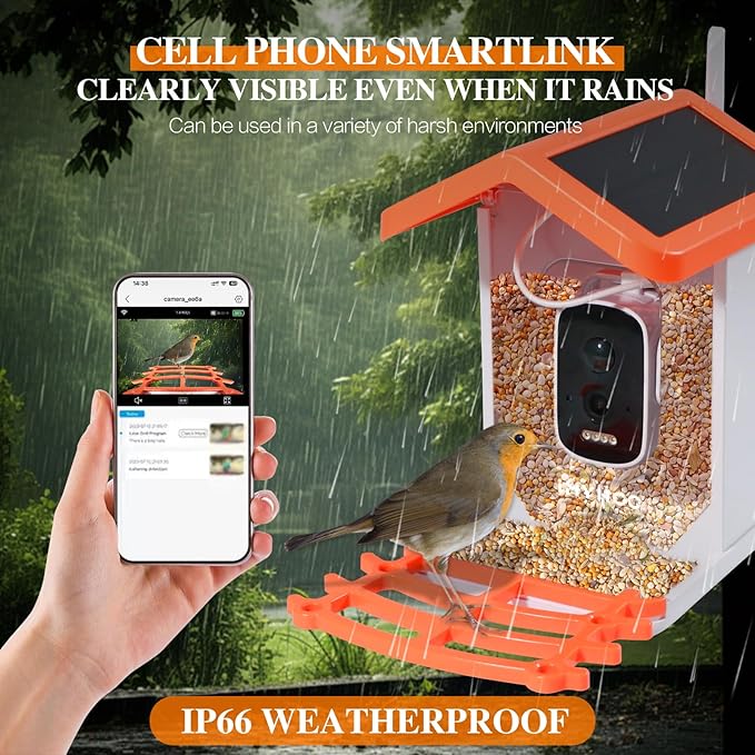 Smart Solar-Powered Bird Feeder with AI Camera - 1080P HD Auto-Capture, Motion Detection & Birds Species Recognition, WiFi Connectivity, for Bird Enthusiasts
