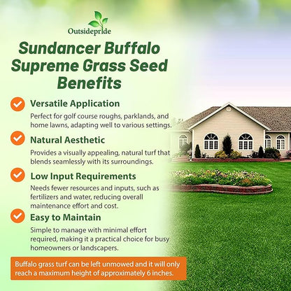 Outsidepride Perennial Buffalo Grass Seed - 2 lbs Heat & Drought Tolerant, Low Maintenance, Warm Season Dense Turf Grass Seed for Lawn, Xeriscape Landscaping, & Roadside Planting