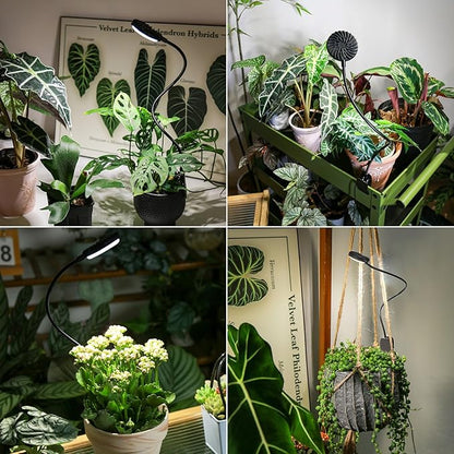 Grow Lights for Indoor Plants, Full Spectrum Plant Grow Lights, 4000K Pot Clip LED Plant Lamps for Indoor Growing with Auto Timer, 4 Dimmable Modes Clip on Light for Succulents Black,1 Pack