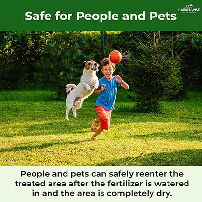 13-13-13 Slow Release Granular Fertilizer – All Purpose Plant Food 13 13 13 for Outdoor Grass, Vegetables, Roses, Flowers, Shrubs, Trees. Lawns, Gardens, Potted Plants (1/2 Quart)