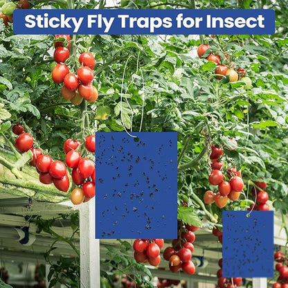 Qualirey 100 Pcs 6 x 8 Inch Sticky Traps for Gnats Dual Sided Fruit Fly Sticky Traps for Indoor and Outdoor Plant with Twist Ties and Plastic Holders for Flying Plant Insect, Fungus Gnats (Blue)