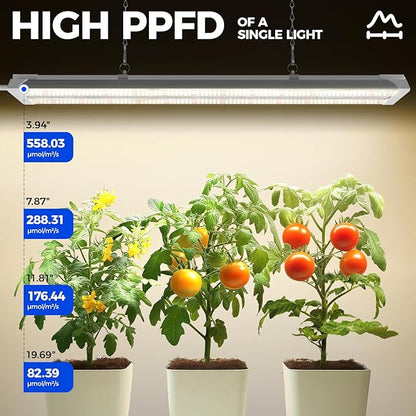 Barrina TX36 2FT Grow Light for Indoor Plants, 36W(200W Equivalent), High PPFD, Full Spectrum, Hanging Plant Lights for Indoor Growing, Seedlings, Vegetables, with On/Off Switch, Linkable, 1 Pack