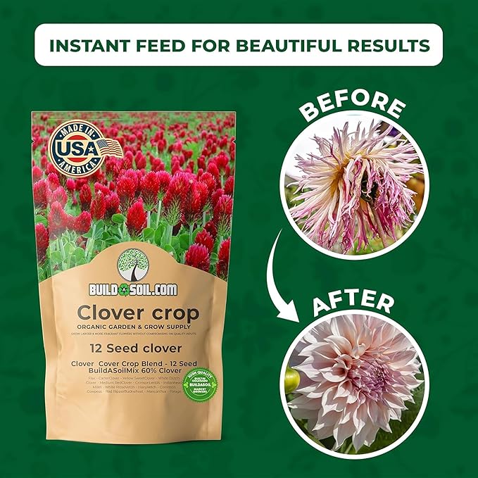 BuildASoil No-Till Clover Seed Cover Crop Blend 12 Species Cover Crop Seed Mix Premium Clover Seeds for Lawn - Plants Friendly Cover Crop for Garden - 60% Clover (3 lb Bag)