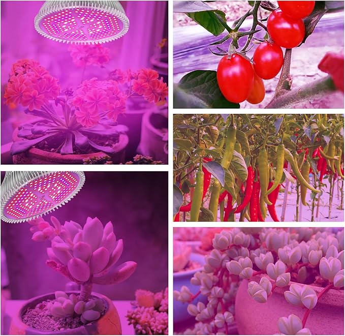 Intpro LED Grow Light Bulbs for Indoor Plants 2Pack, Plant Grow Light Bulb, Grow Bulb Full Spectrum E26 Base, Grow Light for Indoor Plants, Seed Starting