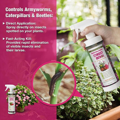 EcoVenger (by EcoRaider) Garden & Plant Insect Control 16 oz, Kills Aphids, Mealybugs, Red Spiders, Armyworms and Gnats All Stages and Eggs, Indoor/Outdoor, Plant-Based, Non-Toxic Child & Pet Safe