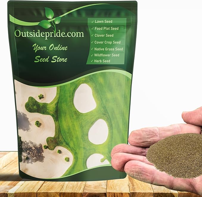 Outsidepride Crystal Bluelinks Creeping Bent Grass Seed - 1 lb. Dense Turf Grass for Golf Greens & Putting Surfaces, Fine-Textured, Tolerant to Close Mowing for Smooth, Consistent Lawn Coverage