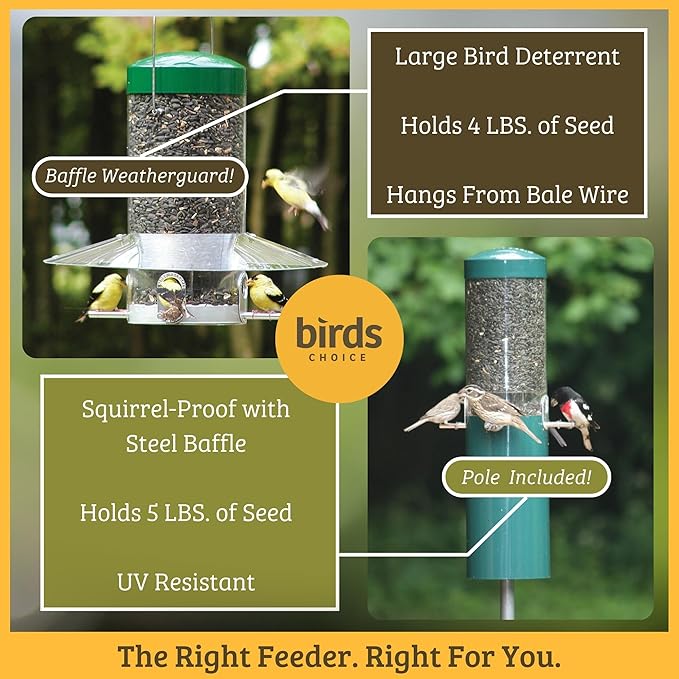 Birds Choice Classic Squirrel Proof Bird Feeder with Pole Mount | Tube Bird Feeder for Cardinals, Chickadees, Woodpeckers | Sturdy Steel for Long-Lasting Use | Backyard Birdseed Dispenser | Green