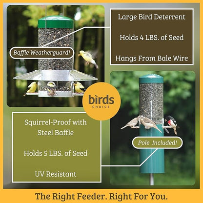 Birds Choice Classic Squirrel Proof Bird Feeder with Pole Mount | Tube Bird Feeder for Cardinals, Chickadees, Woodpeckers | Sturdy Steel for Long-Lasting Use | Backyard Birdseed Dispenser | Green