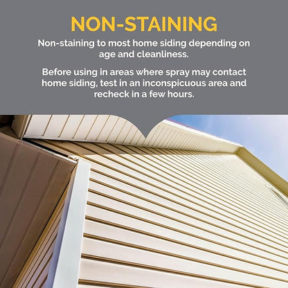 Hot Shot Wasp & Hornet Killer Spray, For Insects Eliminates The Nest, Sprays Up To 27 Feet, 14 fl Ounce