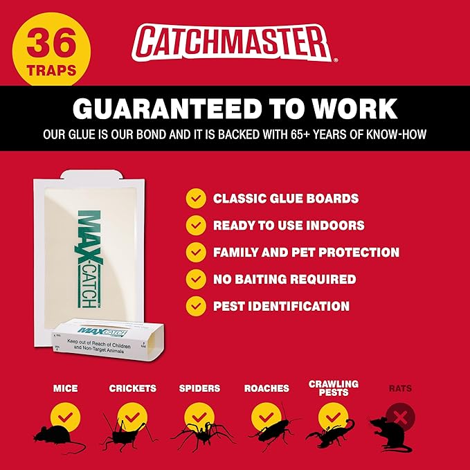 Catchmaster Max-Catch Mouse & Insect Glue Trap 36pk, Mouse Traps Indoor for Home, Sticky Pest Control Adhesive Tray for Catching Bugs, Rats & Rodents, Bulk Classic Glue Boards