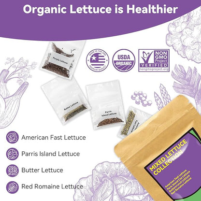 inbloom Salad Romaine Lettuce Seed Pod Kit for AeroGarden, Ahopegarden Hydroponics Growing System, 7-Pods (350+ Seeds, Include American Fast Lettuce, Parris Island Lettuce, Butter Lettuce)