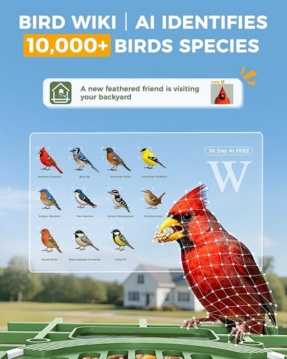 Bird Feeder with Camera, 10000 AI Smart Bird Feeders Solar Powered, 2.4G WiFi, 2K HD and Instant Alerts, Outdoors Squirrel Proof Birds Feeder, Ideal for Parents, Lovers(Green)