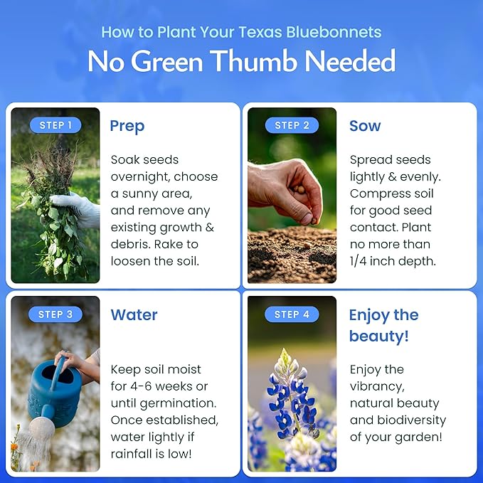 Created By Nature Texas Bluebonnet Seeds, 750+ Wildflower Seeds, Texas State Flower