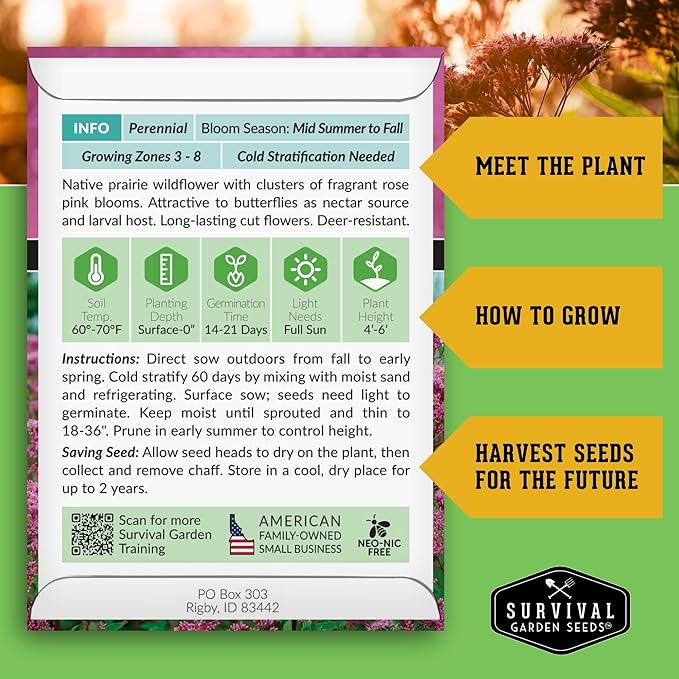 Survival Garden Seeds - Spotted Joe Pye Weed Seeds for Planting | Eutrochium maculatum | Butterfly Magnet | Perennial North American Native Wildflower - 1 Pack