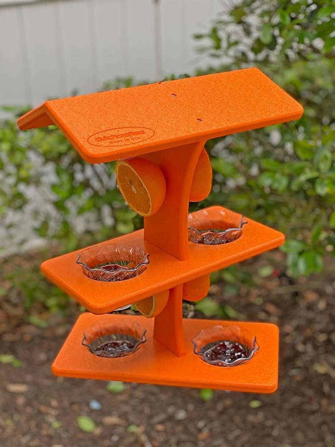 DutchCrafters Plastic Poly Double Platform Hanging Oriole Bird Feeder with Fruit Slice Holders & Nectar Cups, Jelly Bird Feeders for Outside - Amish Made in USA (Double, Bright Orange)