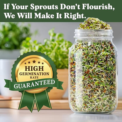 Seedboy Organic Non-GMO Sprouting Seeds, Longevity Blend – USA Grown Microgreens Mix with Broccoli, Red Kale, Black Kale, Alfalfa - 8 oz Bag Makes 6 Quarts / 20 Servings (Longevity Blend)