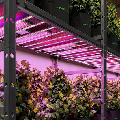 MARS HYDRO ADlite Red55&Blue55 Led Grow Lights for Increased Plants Yield, 440nm & 660nm Spectrum Grow Light 4x4 FT Coverage 55Wx2, Supplemental for FC6500/FC-E6500/FC8000/FC-E8000/FC1000W/FC-W1000W