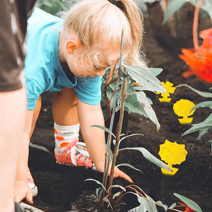 36 Pcs Flower Shape Sticky Traps for Fungus Gnat (Plants), Flying Insect, Whitefly and Fly, Yellow Sticky Insect Catcher Traps for Indoor/Outdoor, Kitchen & Plants, High-End Glue, Non-Toxic, 4 Shapes