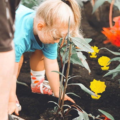 36 Pcs Flower Shape Sticky Traps for Fungus Gnat (Plants), Flying Insect, Whitefly and Fly, Yellow Sticky Insect Catcher Traps for Indoor/Outdoor, Kitchen & Plants, High-End Glue, Non-Toxic, 4 Shapes