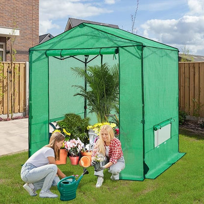 6x6 Pop Up Walk-in Greenhouse, Indoor & Outdoor PE Cover Green House w/ Power Access Ports, Roll-up Zippered Doors and Windows, Green