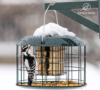 Kingsyard Squirrel Proof Suet Feeder, Cage Bird Feeders for Outdoors Hanging, All Metal, Double Suet Cake Capacity, Tray & Weatherproof, Green