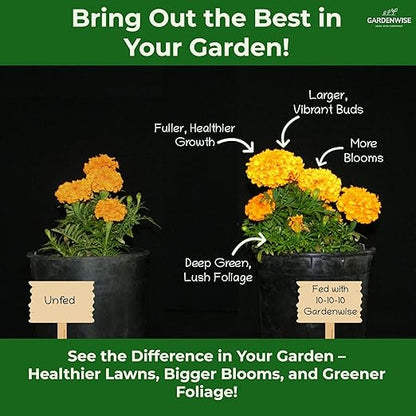 10-10-10 Plant Fertilizer Slow Release - 10 10 10 All Purpose Granular Garden Fertilizer for Vegetables, Tomato, Arborvitae, Shrubs, Rose, Flowers, Fruit, Fig Trees (3 QUARTS)