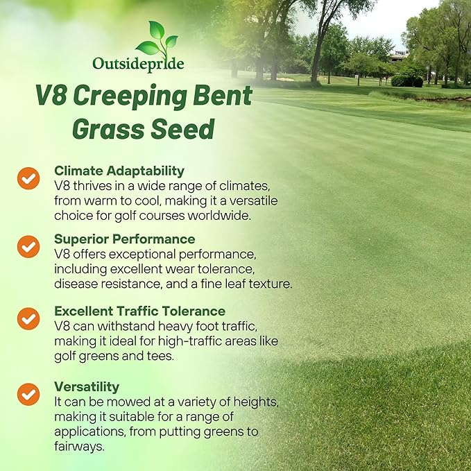 Outsidepride V8 Creeping Bentgrass Seed - 2 lbs. Fine-Bladed, Premium Quality Turf, Grass Seeds for Smooth Surface, & High-Traffic Areas, Ideal Grass for Golf Courses Putting Greens, & Fairways
