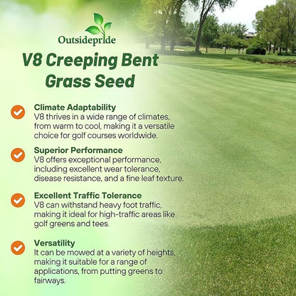 Outsidepride V8 Creeping Bentgrass Seed - 2 lbs. Fine-Bladed, Premium Quality Turf, Grass Seeds for Smooth Surface, & High-Traffic Areas, Ideal Grass for Golf Courses Putting Greens, & Fairways