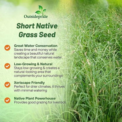 Outsidepride Perennial Short Native Grass Seed Mix - 5 lbs. Premium Mix of Blue Grama, Buffalo, Sideoats Grama, & Sheep’s Fescue Grass Seeds for Low-Maintenance, Heat & Drought-Tolerant Landscaping