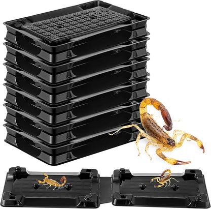 Qualirey 6 Scorpion Glue Tray Traps, Adhesive Scorpion Killer Indoor, Pet and Children Safe, Scorpion Repellent, Insect Traps Indoor, Sticky Bug Catcher for Basement, Bathrooms and Garage