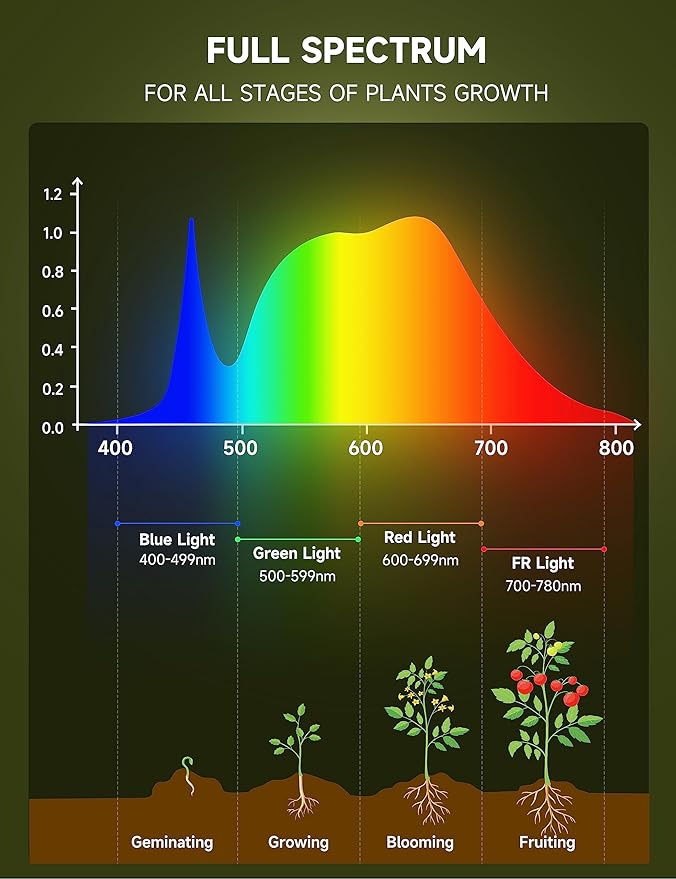 Grow Light Bulbs, Full Spectrum Light Bulb, A19 Grow Light Bulb, Plant Light Bulbs E26 Base, 9W Plant Grow Light Bulbs 100W Equivalent, Grow Light for Indoor Plants, Seeds, Flowers, 12 Pack