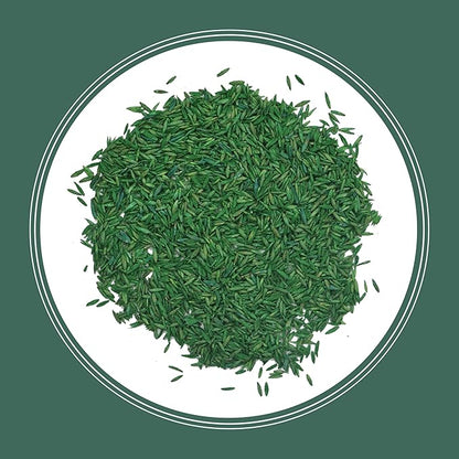 Pennington Kentucky 31 Tall Fescue Grass Seed 20 lb