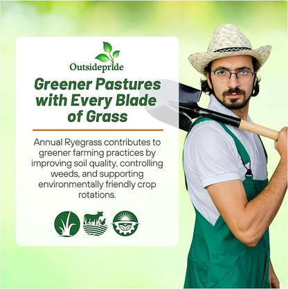 Outsidepride Ryegrass Seeds - 50 lb. Annual, Hardy & Fast-Growing, Cover Crop Seeds for Planting Glossy Dark Green Grass Leaves, Ideal for Hay Foraging, Pasture Grazing & Erosion Control