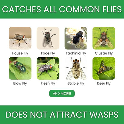 Flybuster Fly Trap | Outdoor Device for Catching Flies | 1-Liter Compact Size | Comes with One Flytrap and 1 Bait Packet | 10,000 Fly Capacity | Non-Toxic | Child & Pet Safe