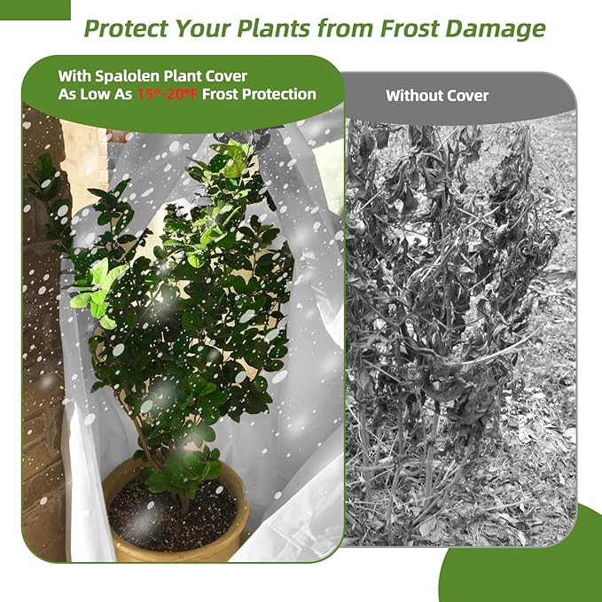 2 Pack Plant Covers Freeze Protection, 75"W x 90"H Winter Frost Blanket 2.36 oz/yd² Fabric Frost Cloth Tree Covers Shrub Jacket Bag with Zipper & Drawstring for Plants Fruit Tree Shrub Potted - White