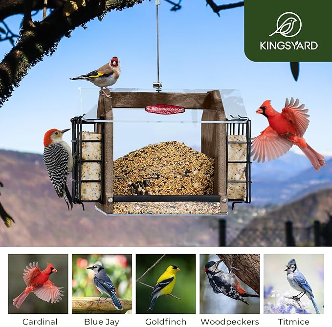 Kingsyard Hopper Bird Feeder for Outdoors Hanging, Recycled Plastic Double Suet Feeder with Clear View Windows, 3 LBS Seed, Cardinal Woodpecker Bluebird Feeder, Brown