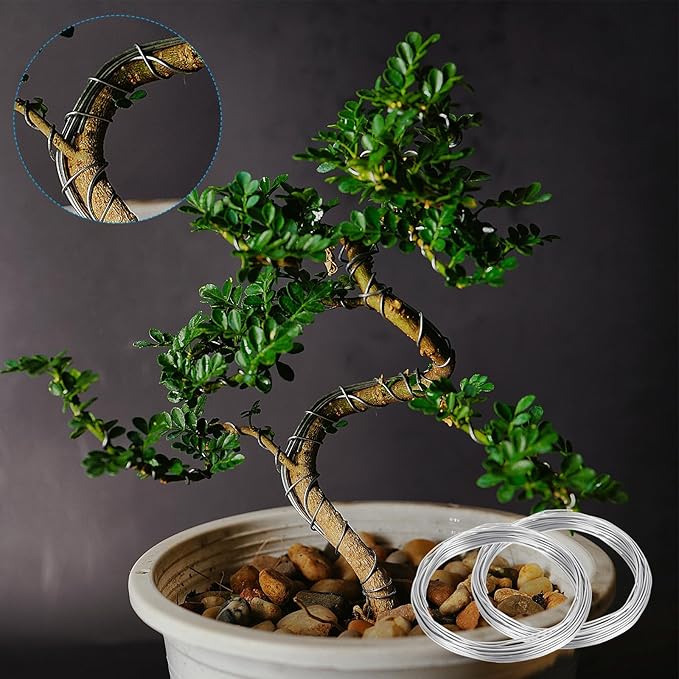 PATIKIL 3.5mm Bonsai Training Wire, Floral Wire Stems Anodized Aluminum Tree Wire 32.8 Feet Total for Gardening Branch Fixing, Black