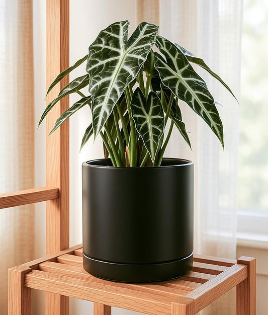 D'vine Dev 8.2 Inch & 10 Inch Ceramic Planter Pot for Plants with Drainage Hole and Saucer, Large Plant Pots Set, Black, 94-G-L-2