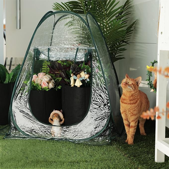 Gardzen 2-Pack 27"x27"x31" Pop up Grow Greenhouse Small Greenhouse, Portable Plant Flowers Mini Green House Cover for Outdoor & Indoor Use